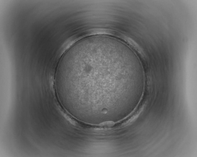 X0000111420985200907271139