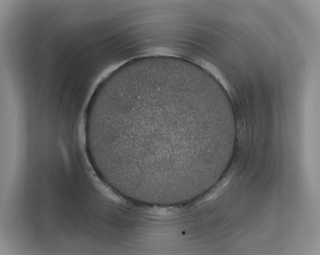 X0000111420987200907271139