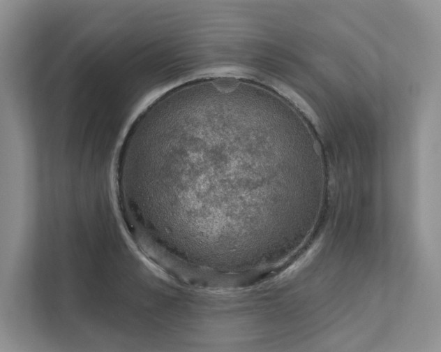 X0000111420989200907271139