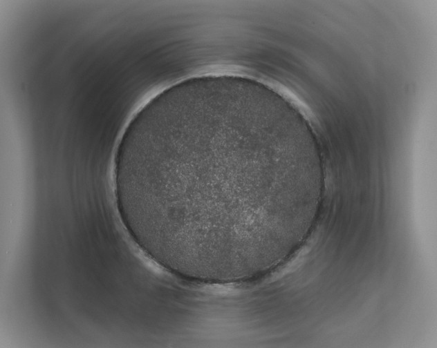 X0000111420990200907271139