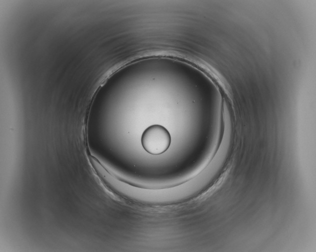 X0000111420993200907271139