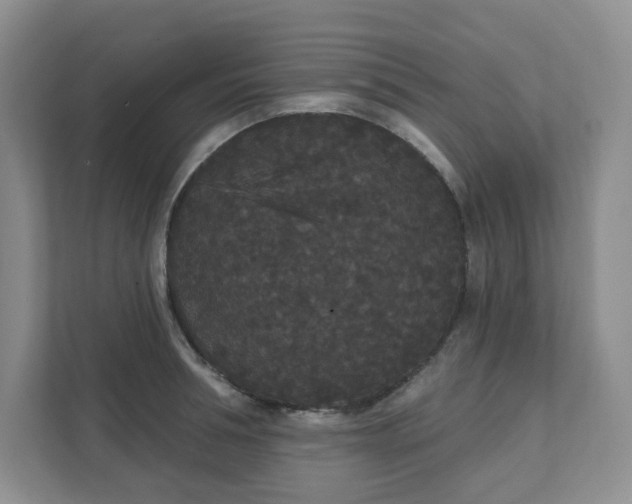 X0000111420994200907271139