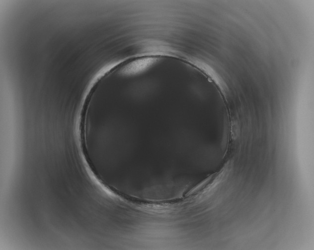 X0000111420995200907271139