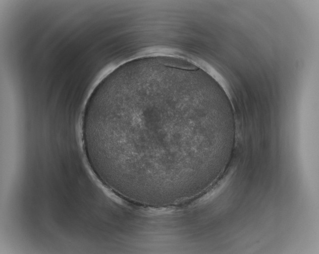 X0000111420997200907271139