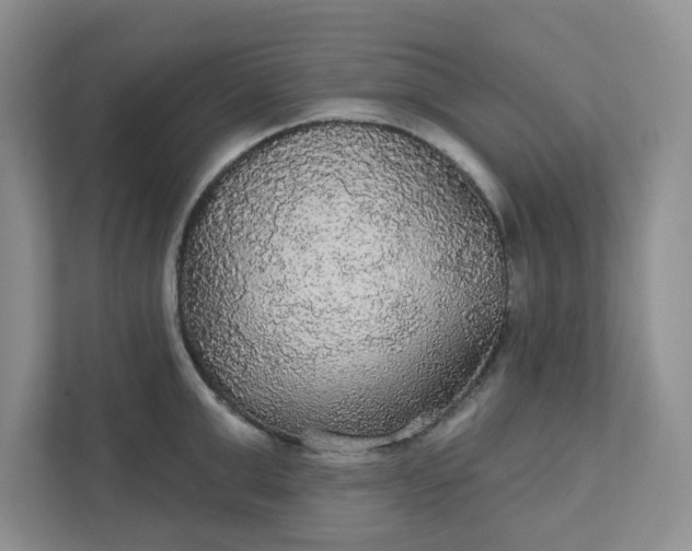 X0000111420999200907271139