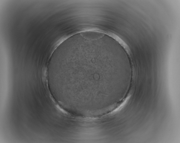 X0000111421001200907271139