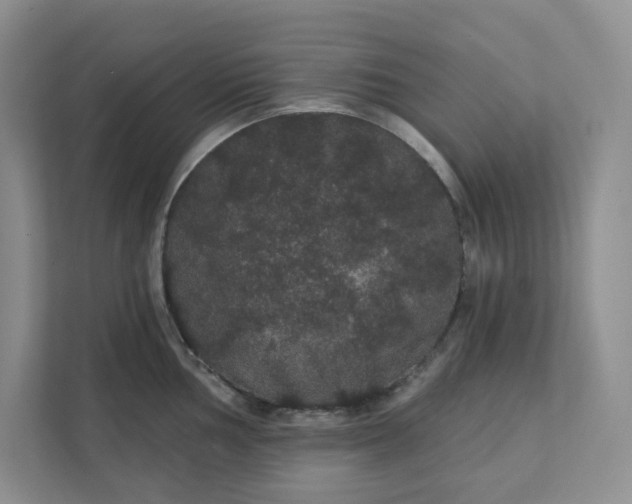 X0000111421002200907271139