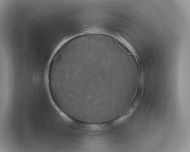 X0000111421005200907271139