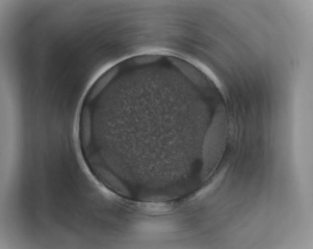 X0000111421007200907271139