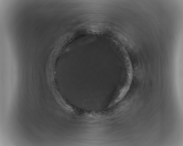 X0000111421009200907271138