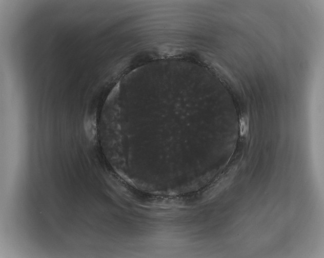 X0000111421011200907271138