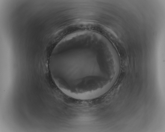 X0000111421013200907271138