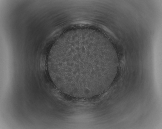 X0000111421014200907271138