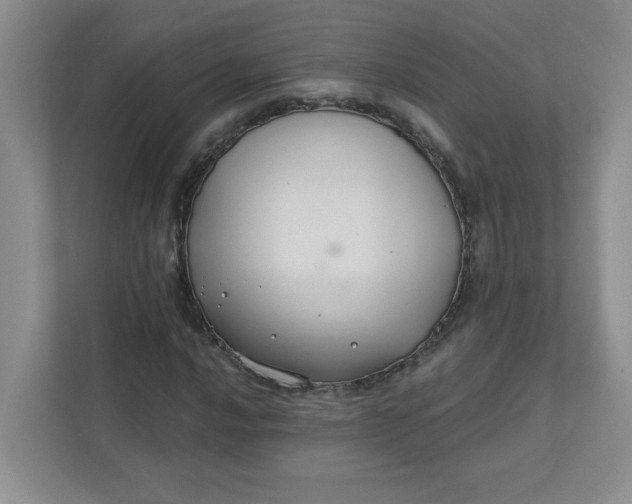 X0000111421016200907271138