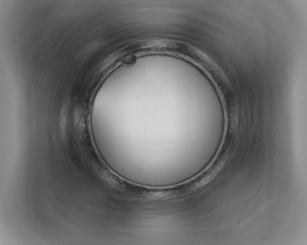 X0000111421017200907271138