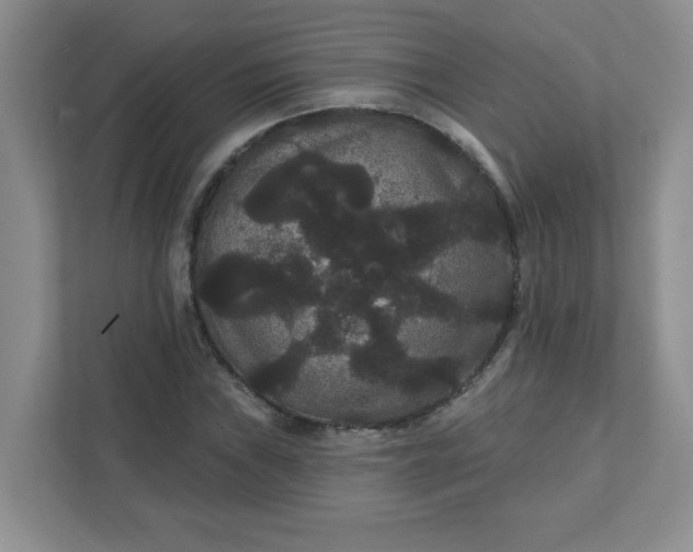 X0000111421019200907271138