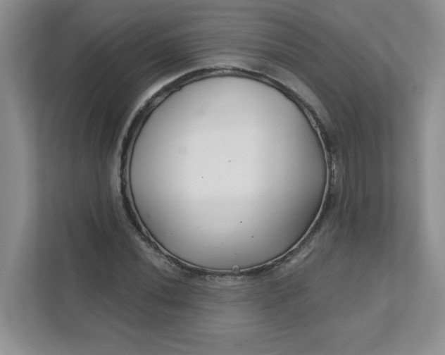 X0000111421020200907271138