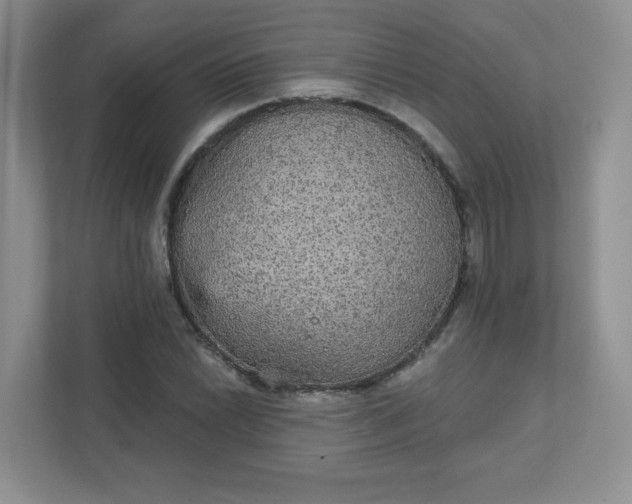 X0000111421022200907271138