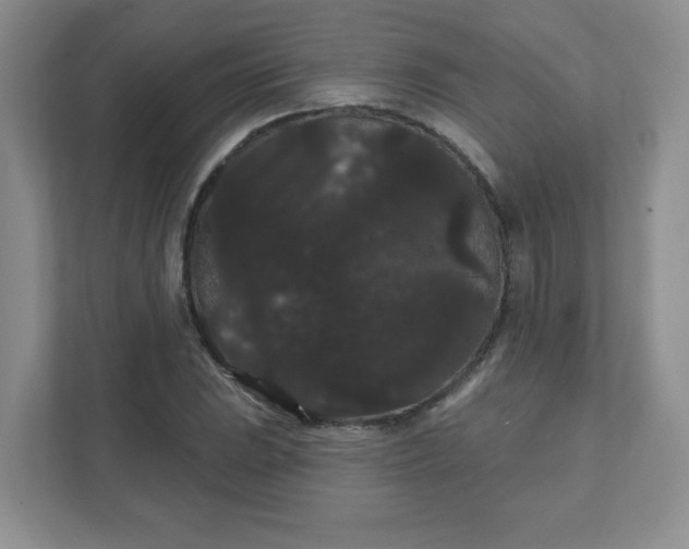 X0000111421023200907271139