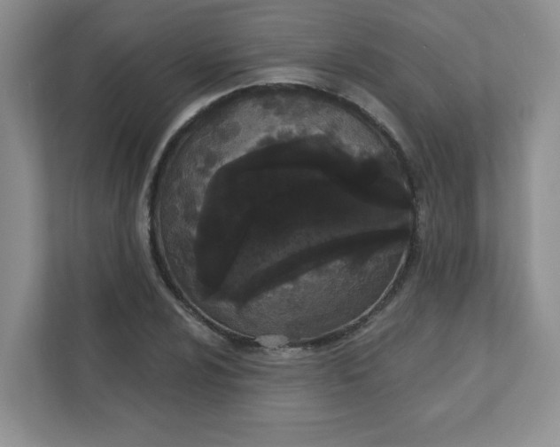 X0000111421024200907271139