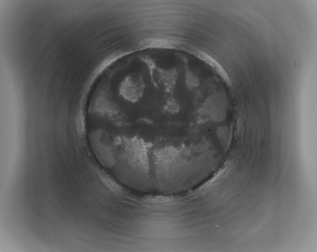 X0000111421027200907271139