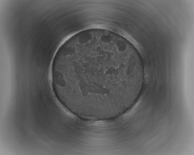 X0000111421028200907271139