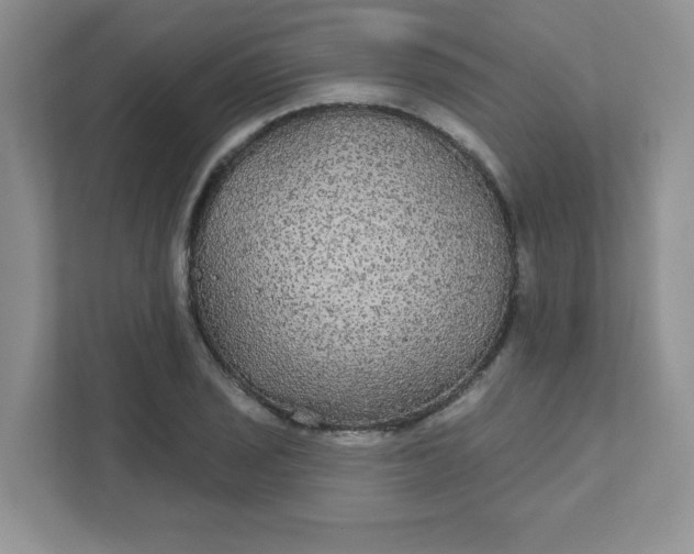 X0000111421029200907271139