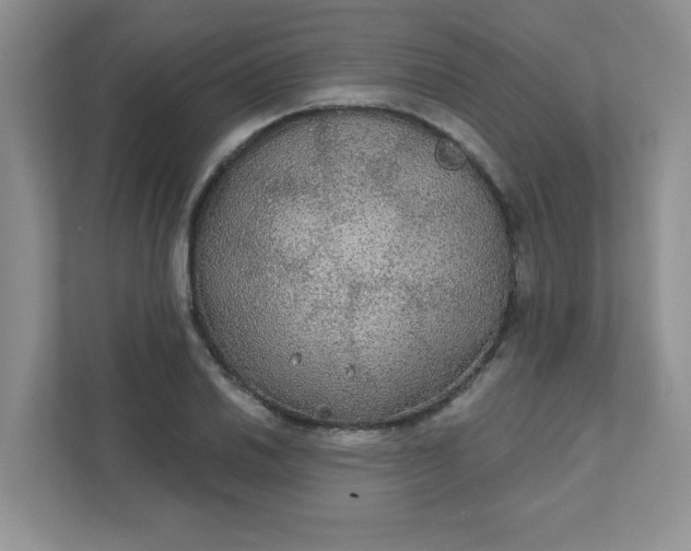 X0000111421030200907271139