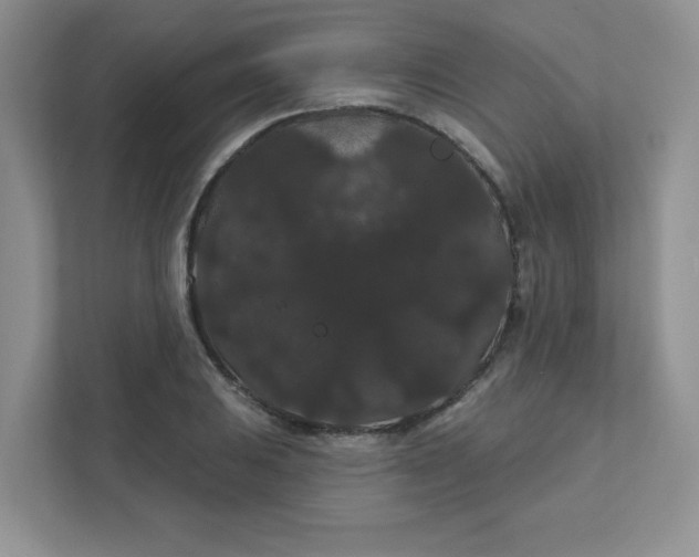 X0000111421031200907271139