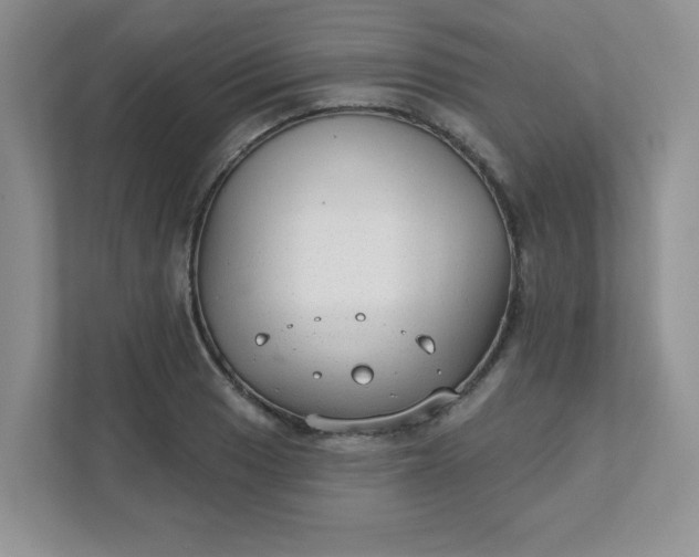 X0000111421033200907271139