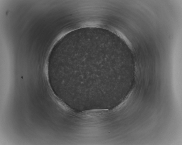 X0000111421035200907271139