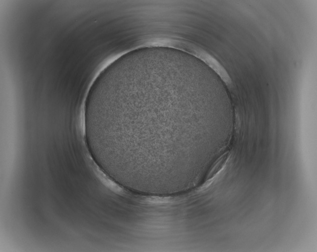 X0000111421036200907271139