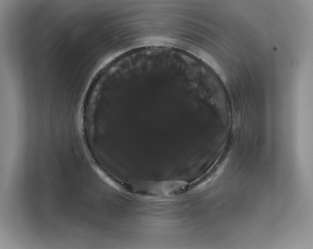 X0000111421037200907271139