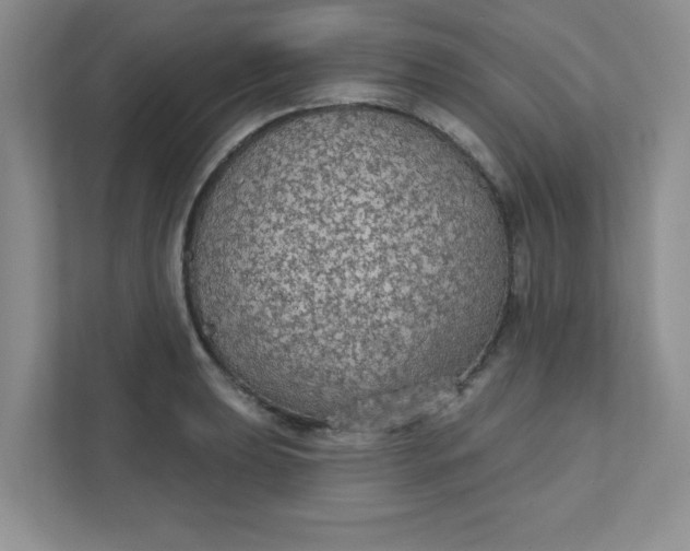 X0000111421039200907271139