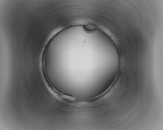 X0000111421042200907271139