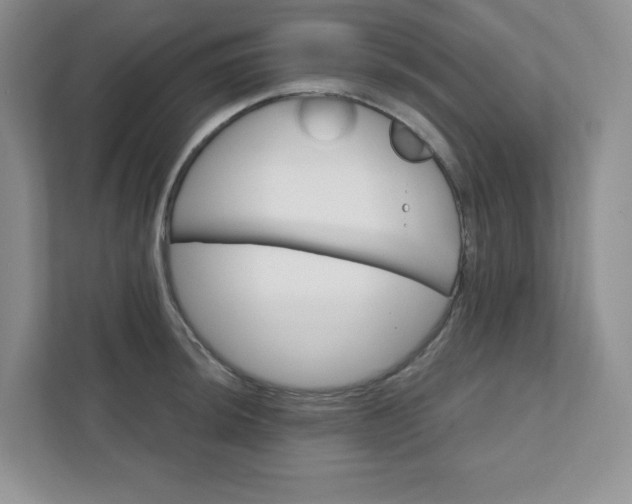 X0000111421044200907271139