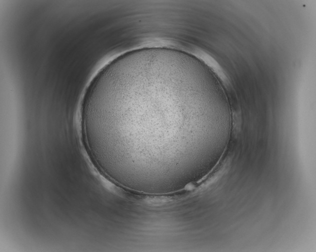 X0000111421046200907271139