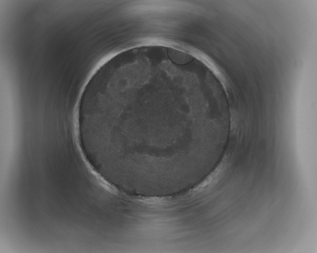 X0000111421048200907271139