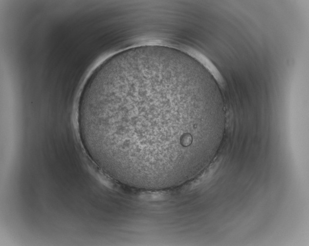 X0000111421051200907271139