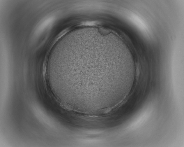 X0000111421052200907271139