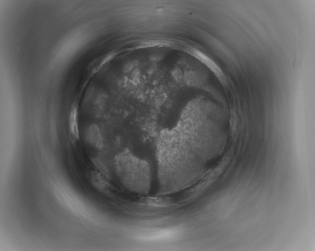 X0000111421055200907271139