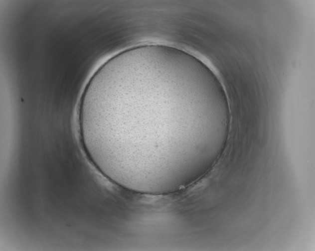 X0000111421056200907271139