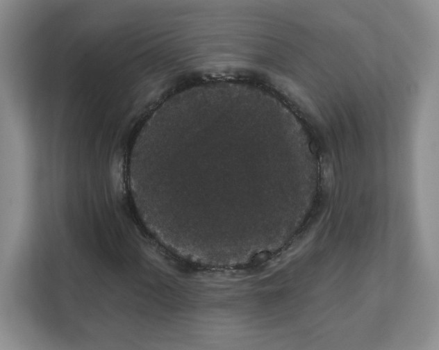 X0000111421060200907271138