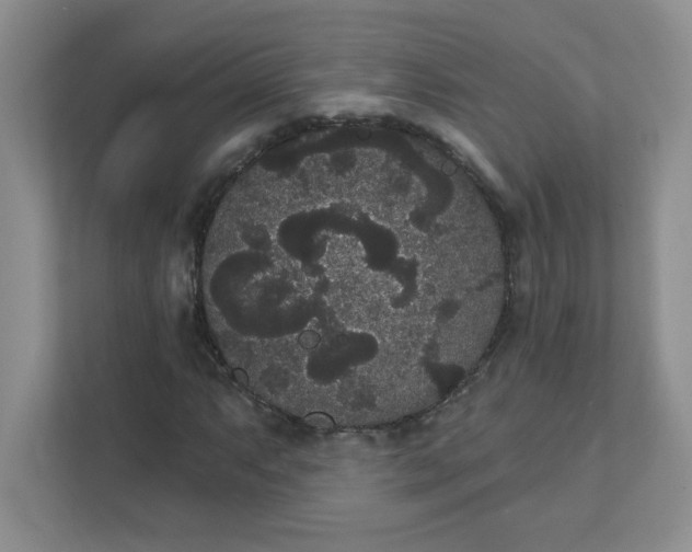 X0000111421063200907271138