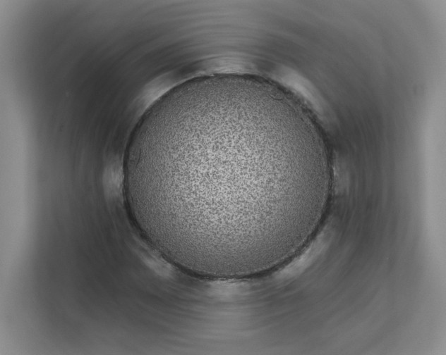 X0000111421065200907271138