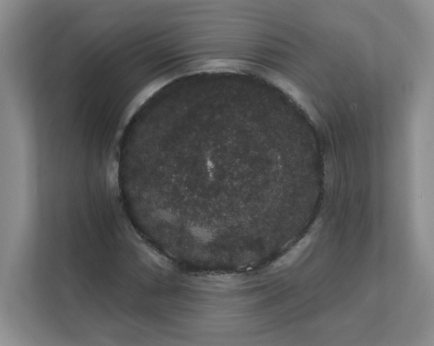 X0000111421066200907271138