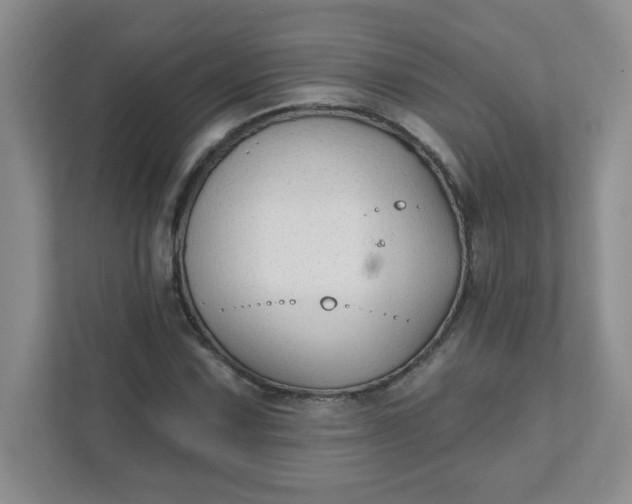 X0000111421067200907271138