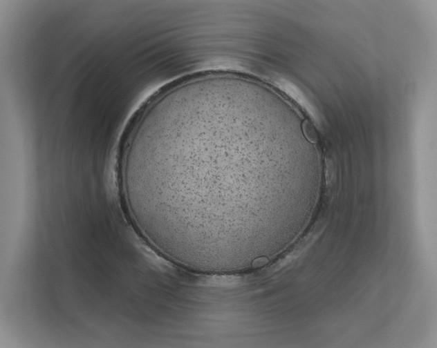 X0000111421068200907271138