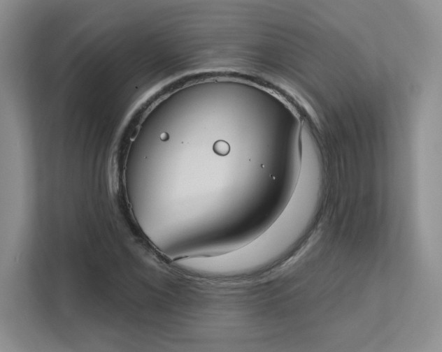 X0000111421069200907271138