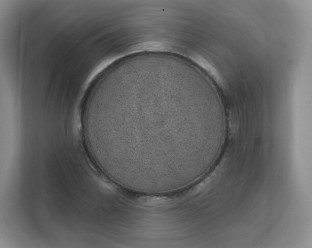 X0000111421070200907271138